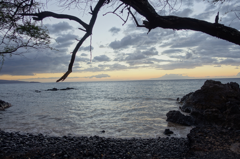 Illustration for article titled The $800 Camera I Didn't Use To Share My Hawaiian Vacation Photos